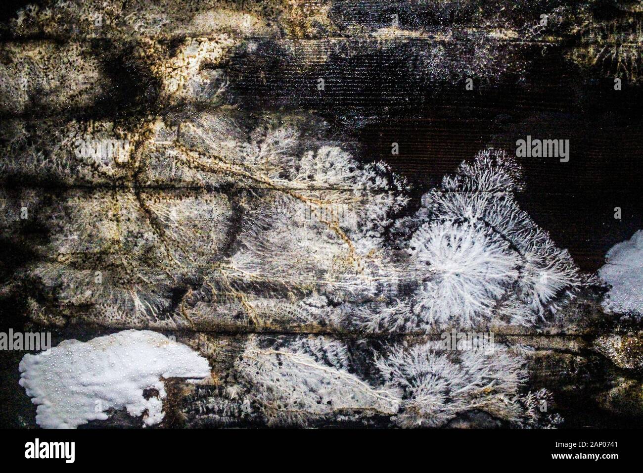 Depositi minerali sul soffitto delle Grotte di Taya, Prefettura di Kanagawa, Giappone. Foto Stock