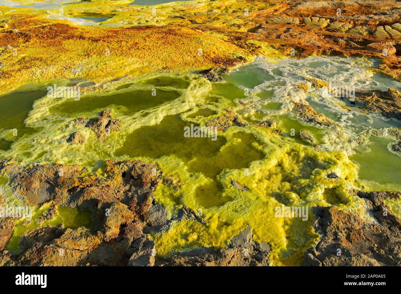 Salamoia acida piscina con acido solforico sedimenti, campo geotermico di Dallol, Danakil depressione di Afar, Triangolo, Etiopia Foto Stock