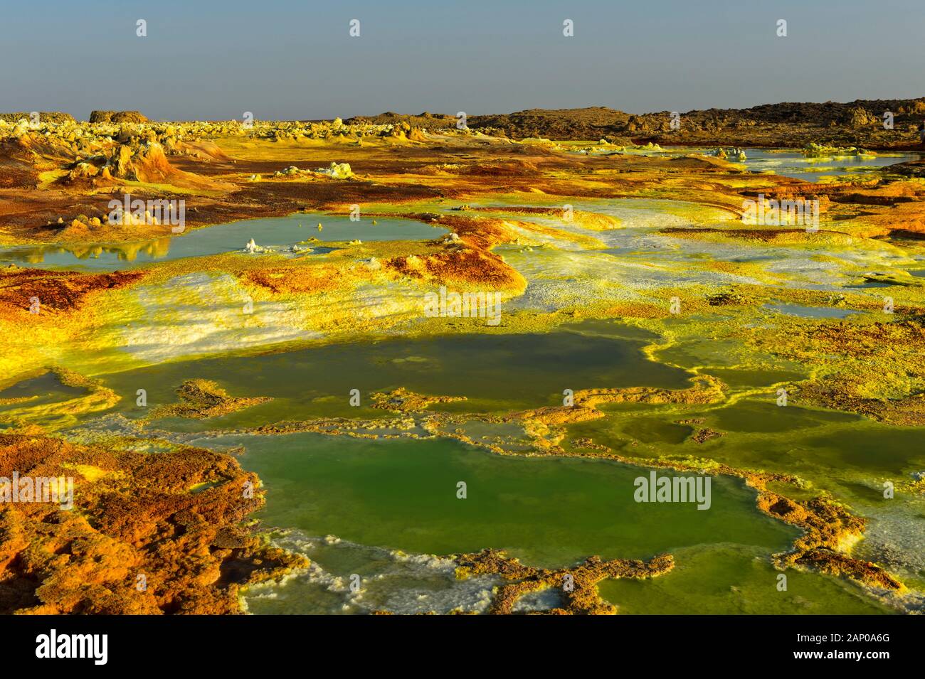 Salamoia acida piscina con acido solforico sedimenti, campo geotermico di Dallol, Danakil depressione di Afar, Triangolo, Etiopia Foto Stock