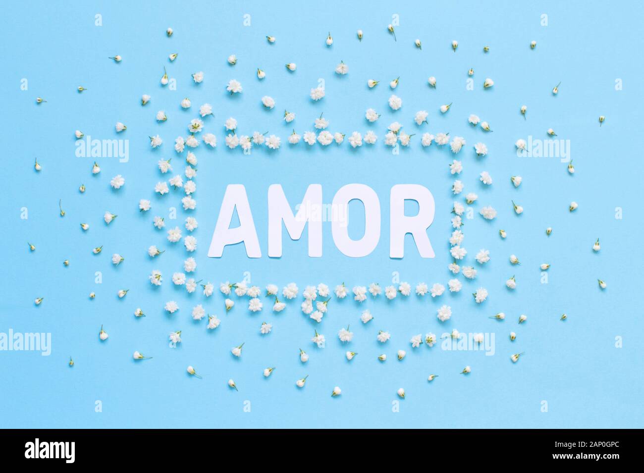 Rettangolare cornice floreale e AMOR di testo su sfondo azzurro vista superiore Foto Stock