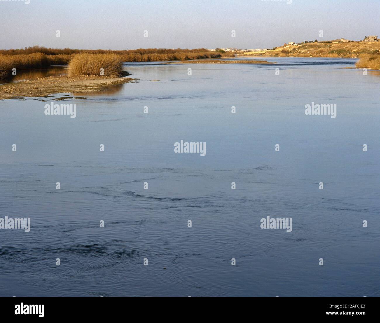 La Siria. Fiume corso dell'Eufrate tra Deir ez-Zor e Abou Kemal. Valle Eufrate, culla della civiltà dell'Asia occidentale. (Mesopotamia). Foto Stock