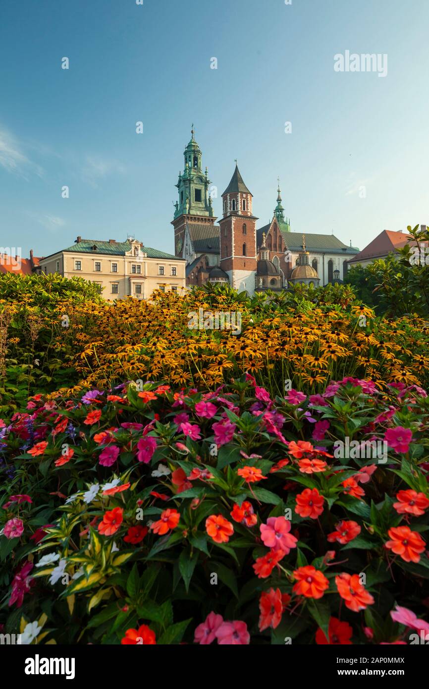 Mattinata estiva al Castello Reale di Wawel a Cracovia. Foto Stock