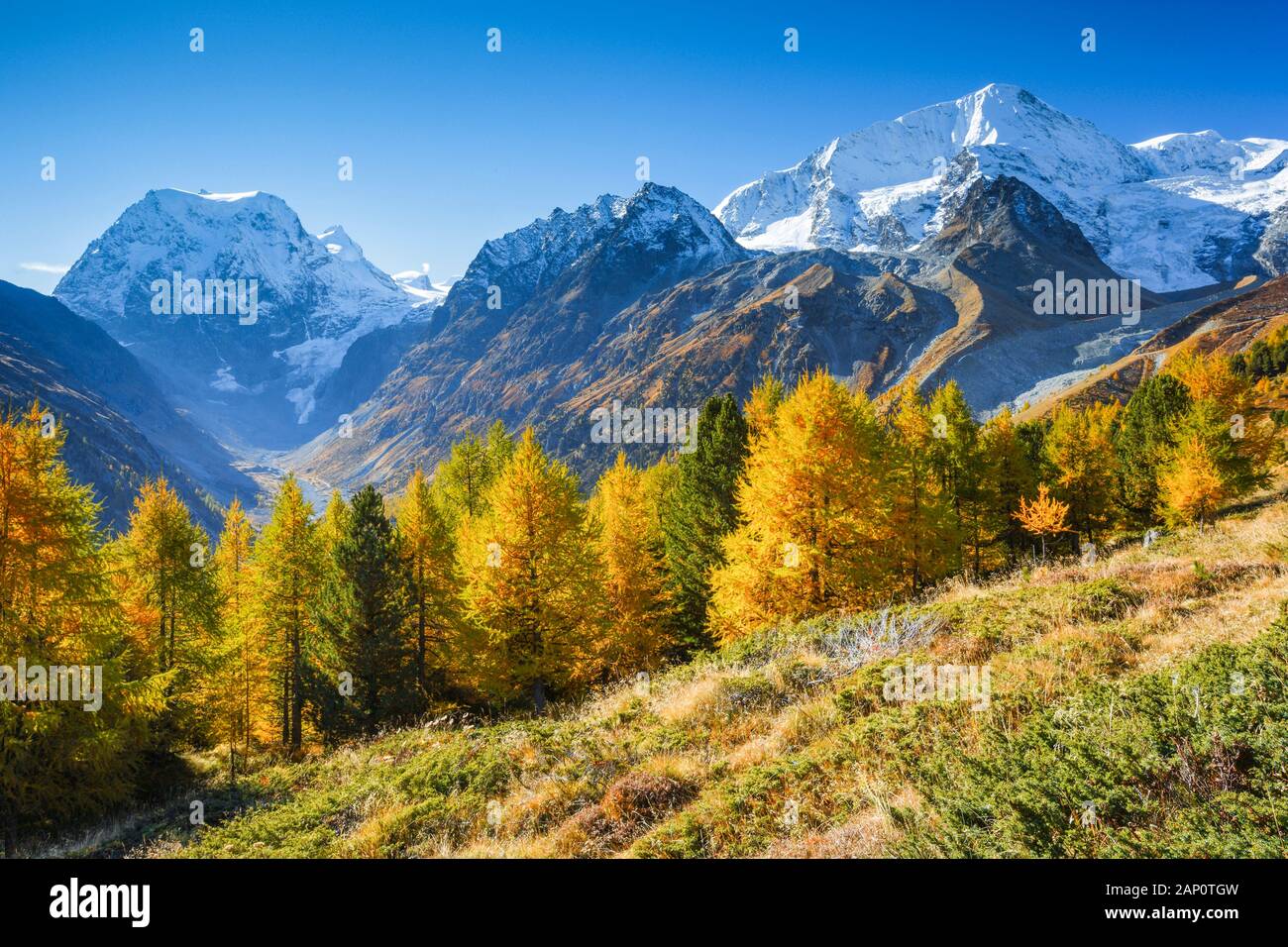 La montagna Mont Collon (3637 m) in autunno. Arolla Valley, Vallese, Svizzera Foto Stock