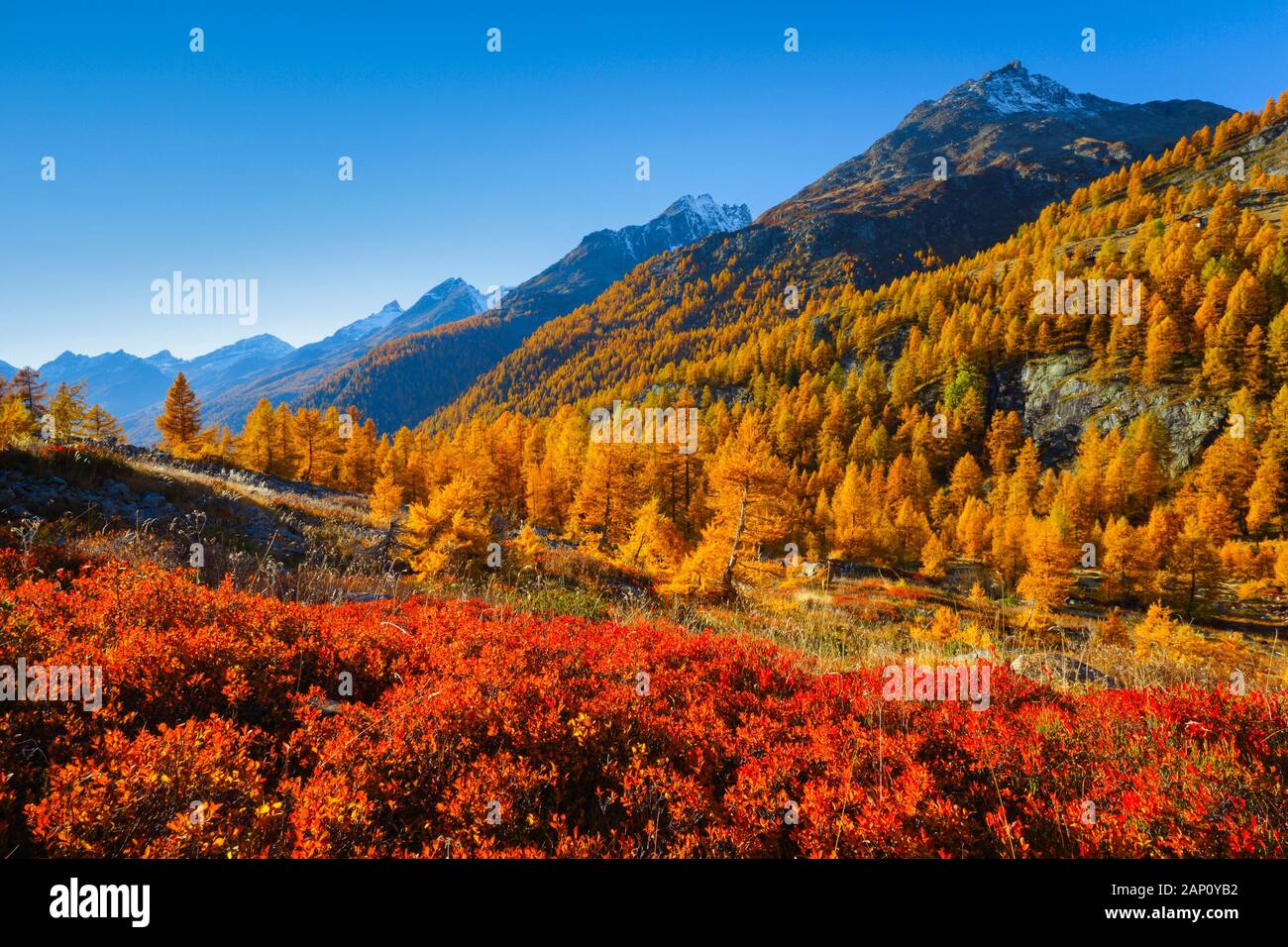 La valle Loetschental in autunno. Vallese, Svizzera Foto Stock