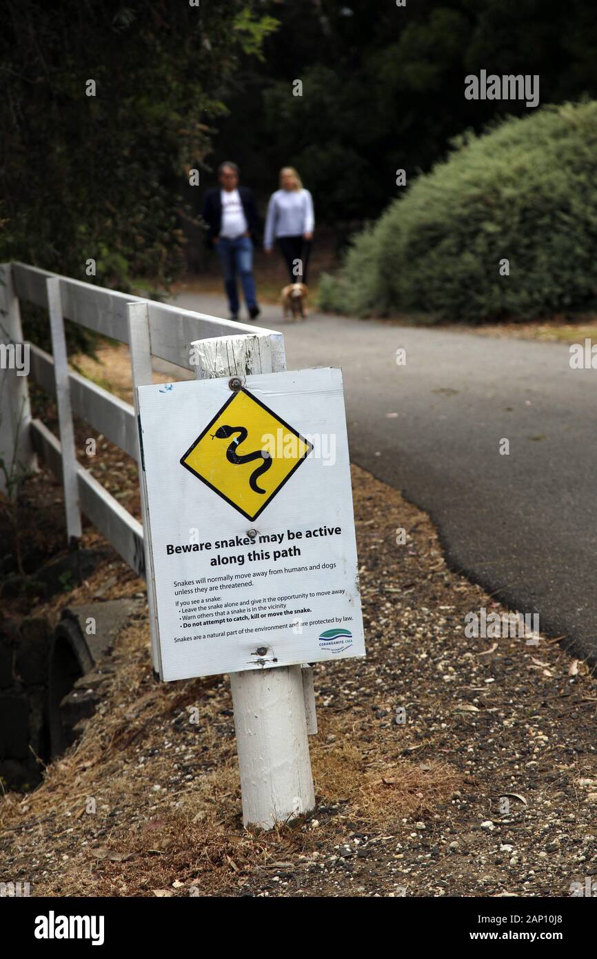 Giovane cane a piedi vicino a un cartello di avvertimento di serpenti sul sentiero lungo il fiume Barwon, Geelong, Australia Foto Stock