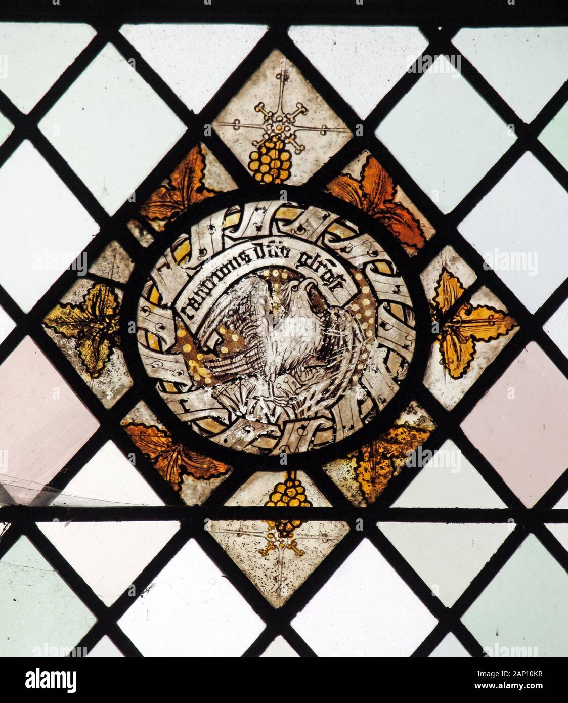 Un roundel di vetro colorato di circa 16 ° secolo con un'aquila o caladrius, Graystoke, Cumbria Foto Stock