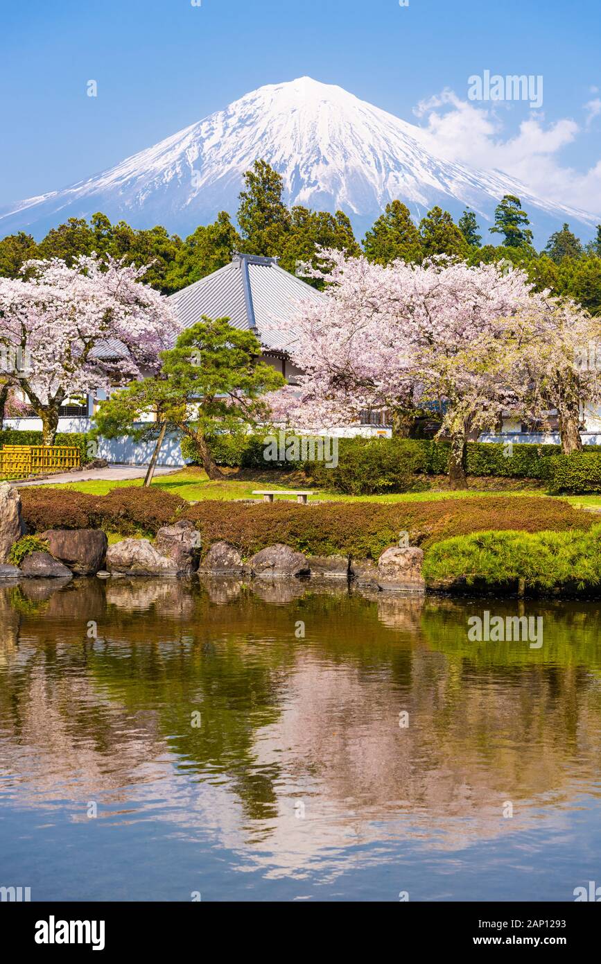 Fujinomiya, Shizuoka, Giappone con Mt. Fuji in primavera. Foto Stock