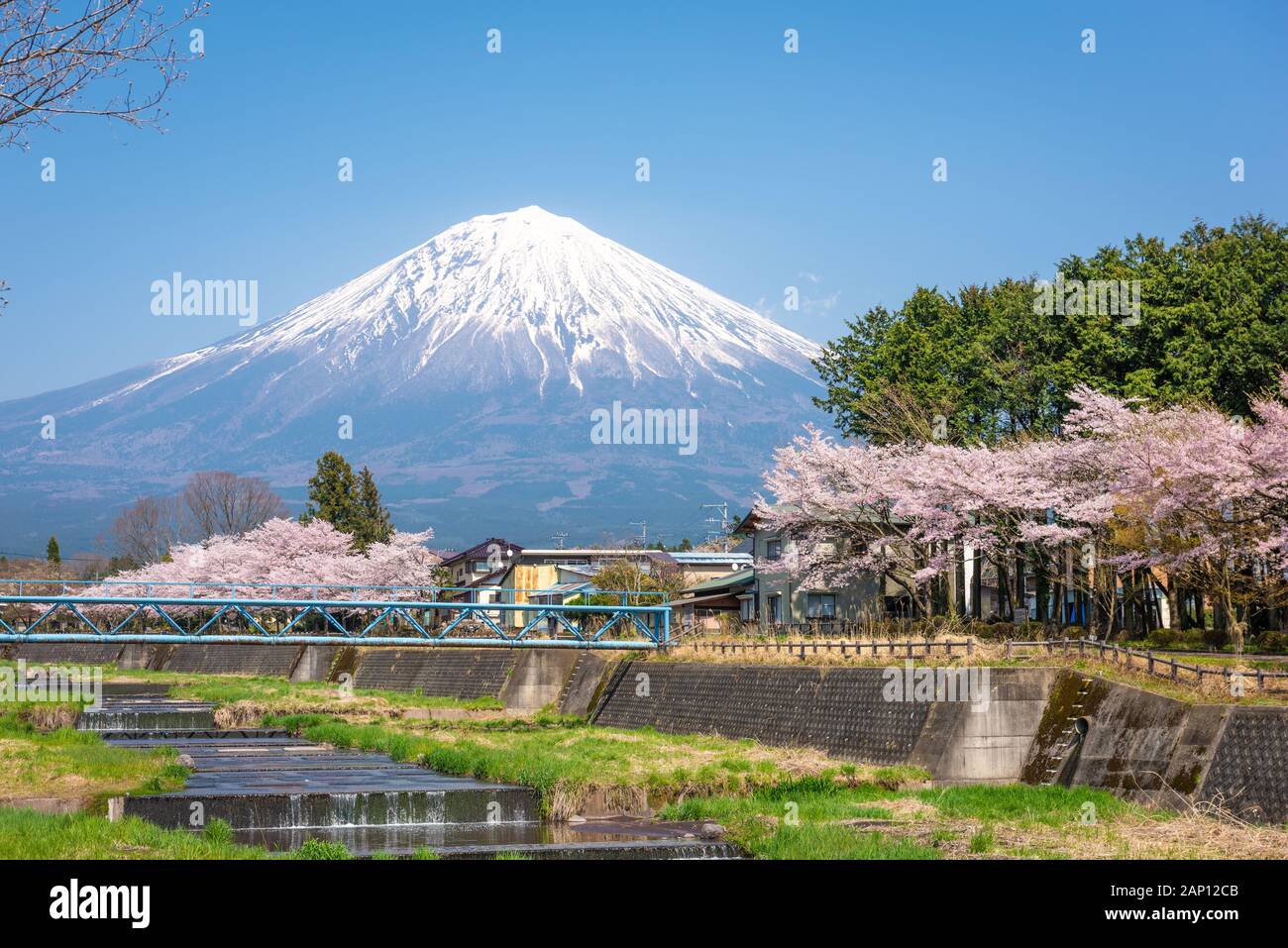 Mt. Fuji visto da rurale Prefettura di Shizuoka nella stagione primaverile. Foto Stock