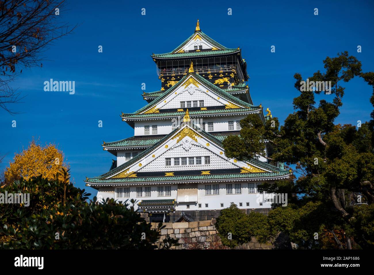 Paesaggio del Castello di Osaka in autunno, Medium Shot, Vista sul livello degli occhi Foto Stock