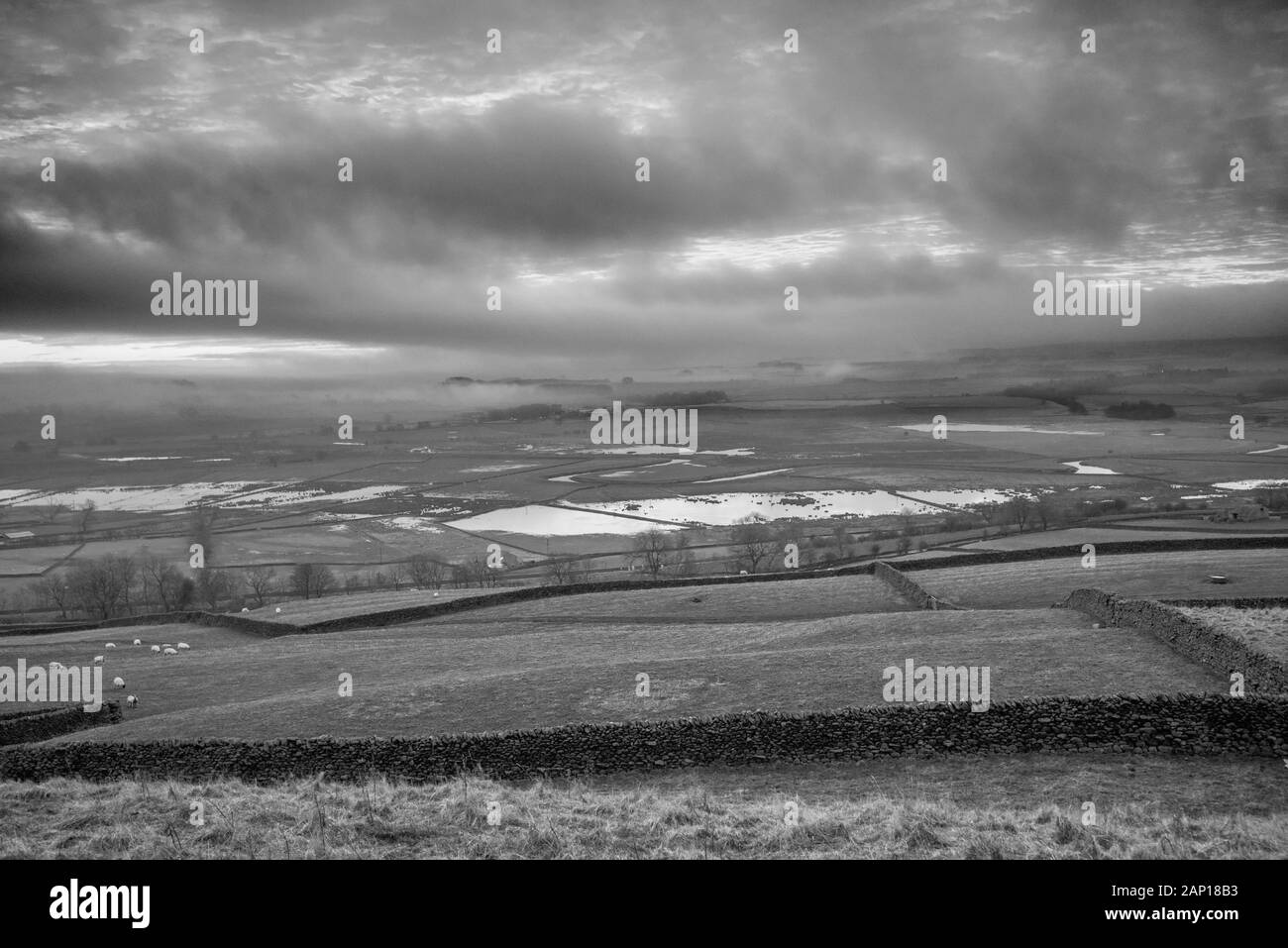Ribble floodplain a sud di Long Preston Foto Stock