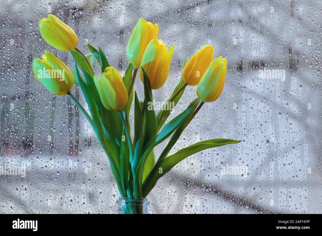 Bouquet di Tulipano giallo dei fiori in un vaso in corrispondenza della finestra Foto Stock