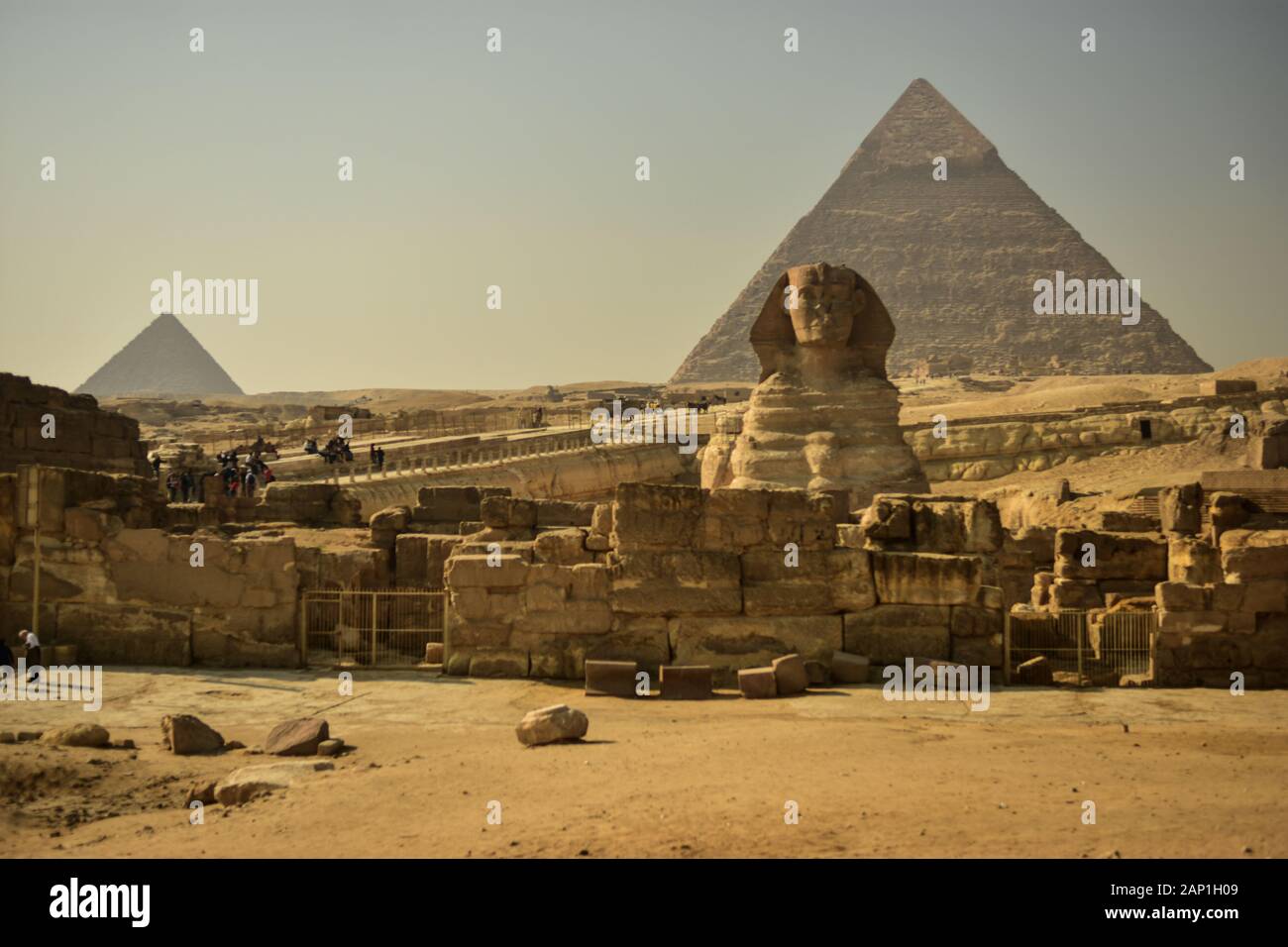 La Grande Sfinge e le Piramidi di Giza, Egitto Foto Stock