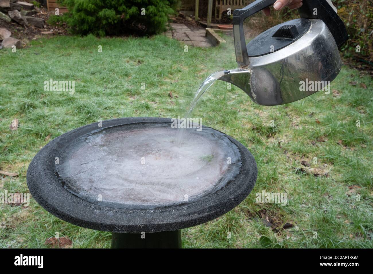 Lo scongelamento di ghiaccio in un giardino bird bagno con acqua bollente da un bollitore su un gelido inverno mattina Foto Stock