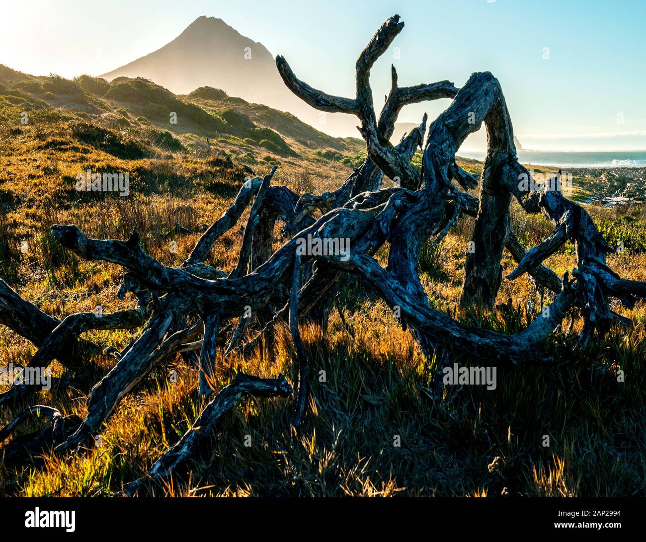 Panorama mozzafiato sulla Penisola del Capo, Sudafrica Foto Stock