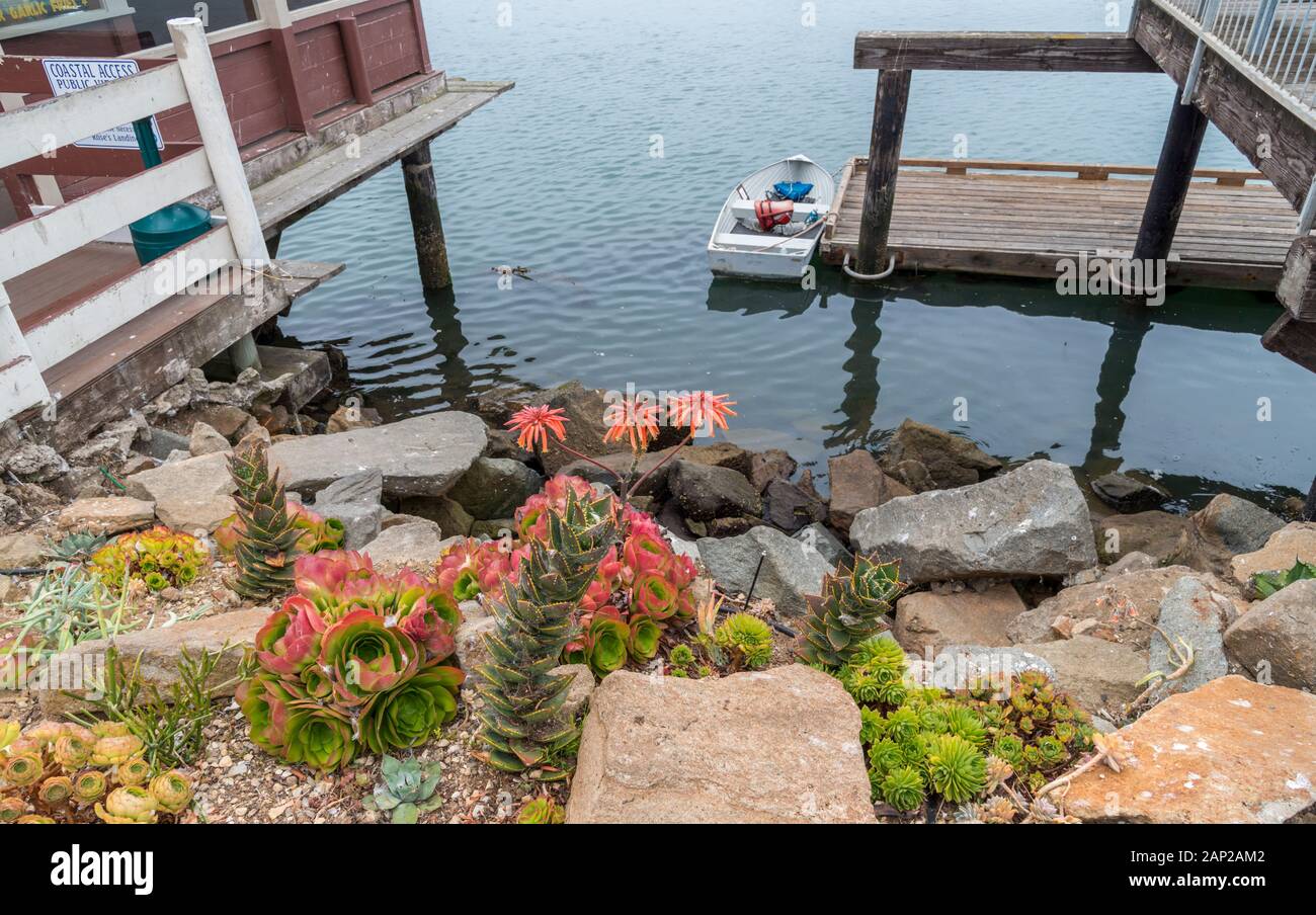 Vista sui Dockside delle barche nel porto in un pomeriggio coperto a Morro Bay, California Foto Stock Vista sui Dockside delle barche nel porto in un pomeriggio coperto a Morro Bay, California Foto Stock
