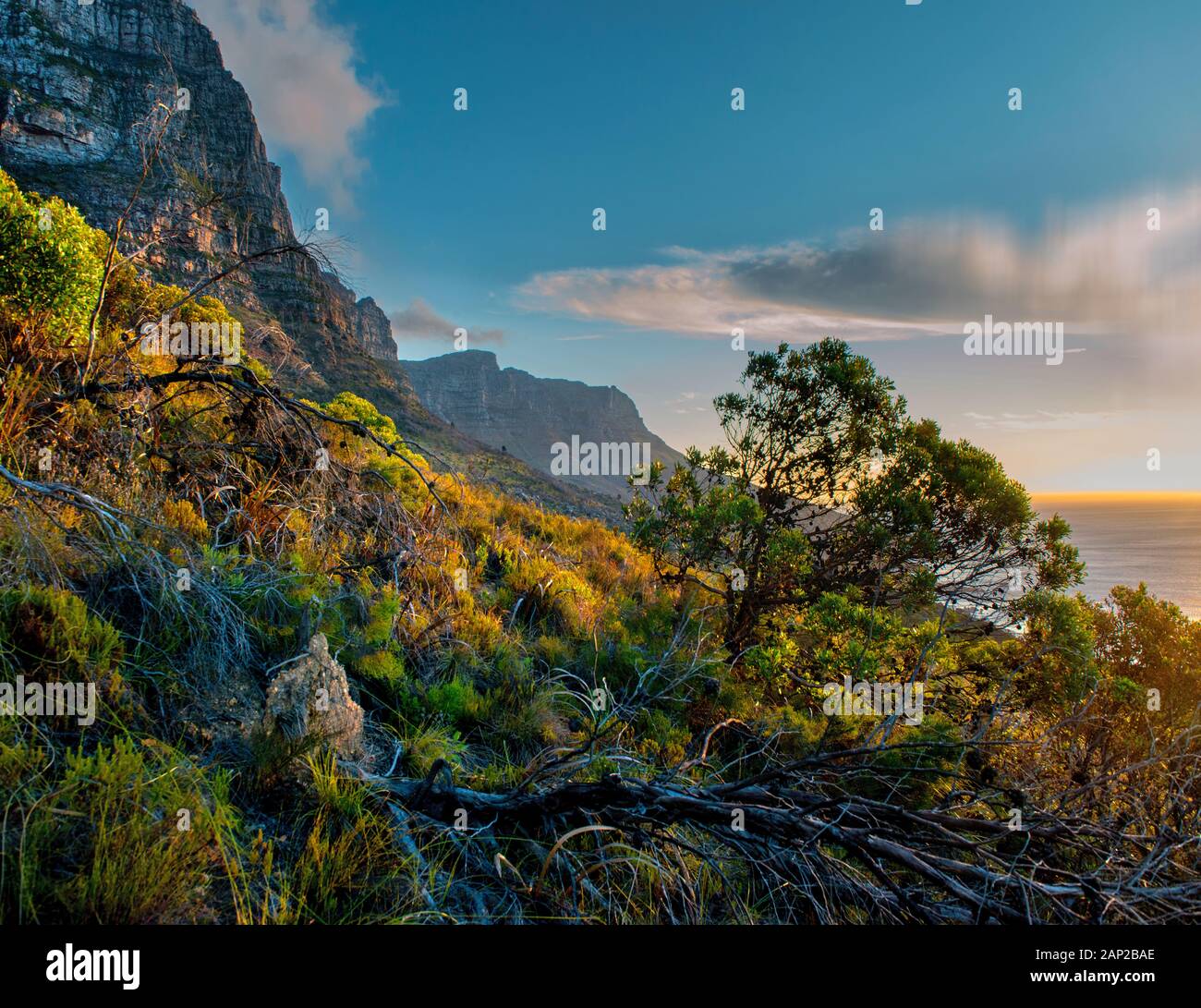 Panorama mozzafiato sulla Penisola del Capo, Sudafrica Foto Stock