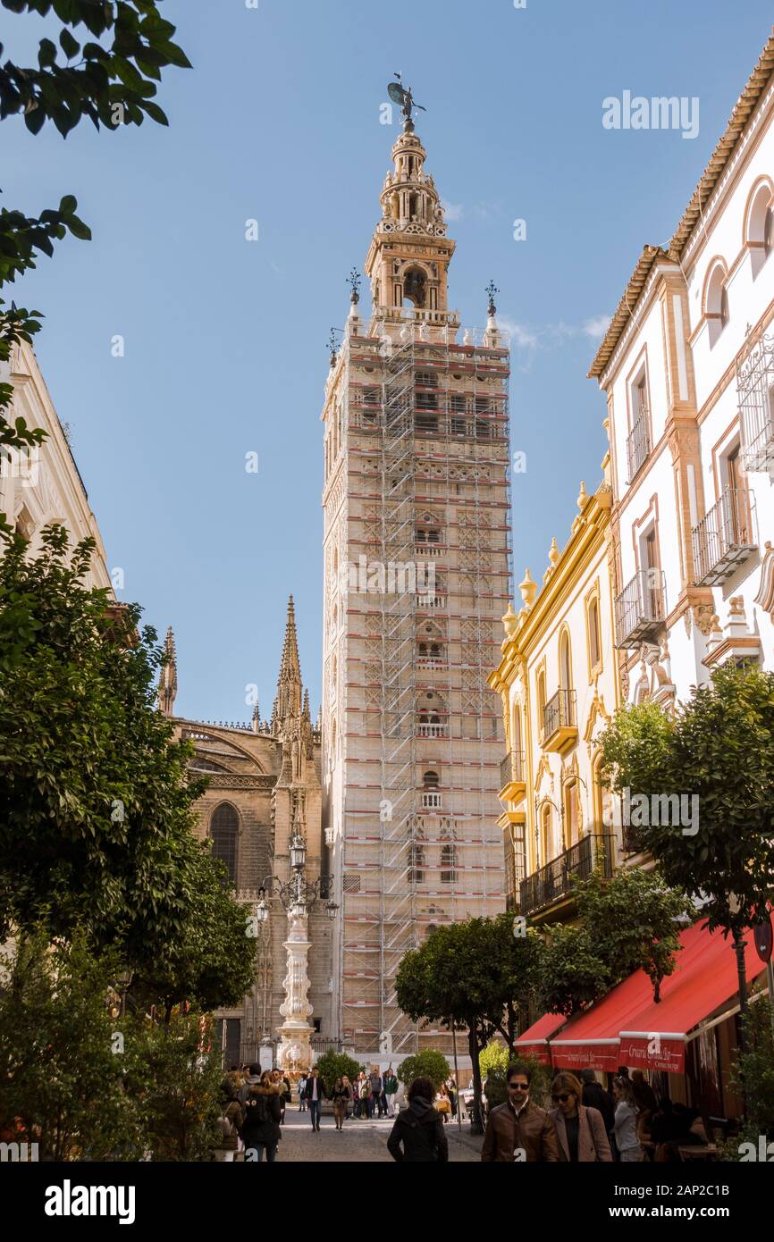 Cattedrale di Sevilla e Giralda torre campanaria coperta con i ponteggi, Sevilla, sotto lavori di restauro, Andalusia, Spagna. Foto Stock