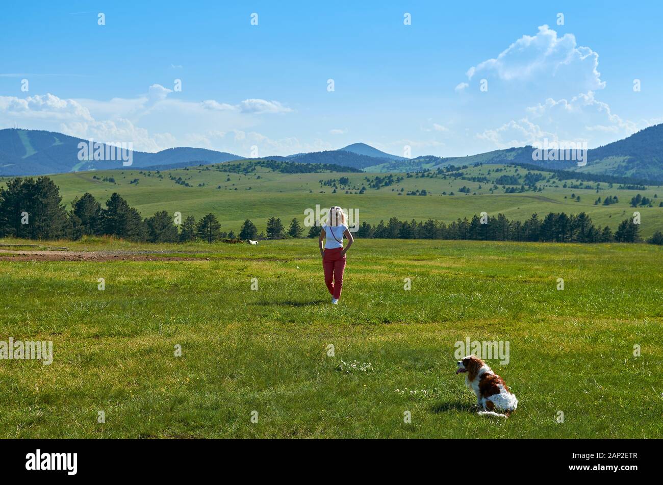 Donna e cane in un meraviglioso paesaggio di montagna in primavera Foto Stock