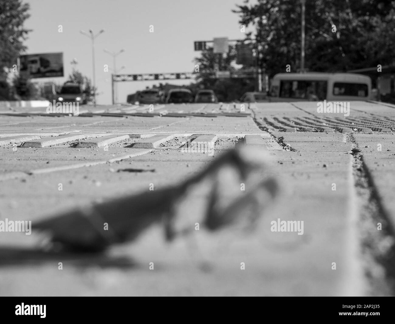 Silhouette di una Mantide sullo sfondo di una strada con vetture di foto in bianco e nero Foto Stock