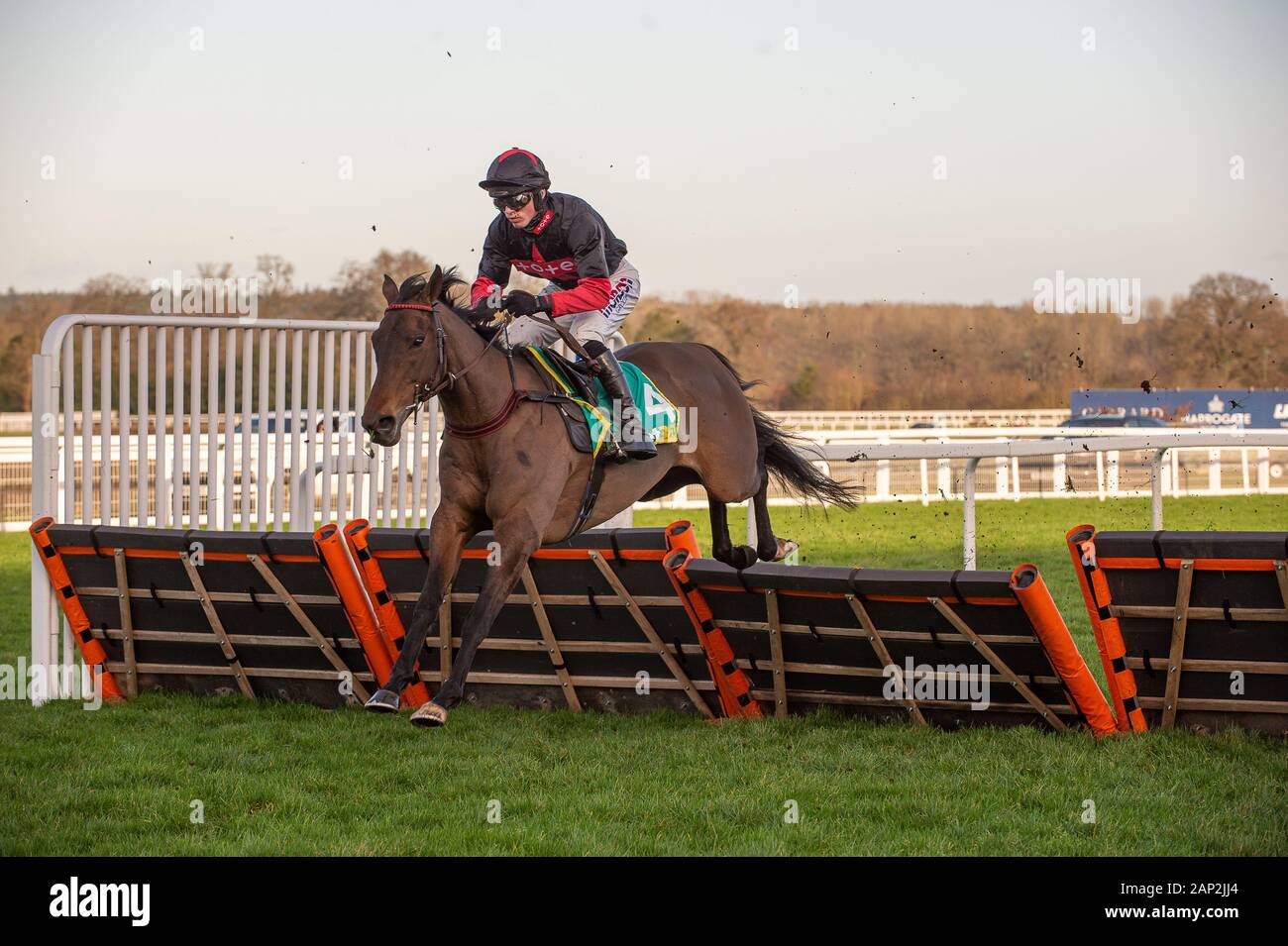 Ascot Berkshire, Regno Unito. 18 gennaio, 2020. Jockey Harry Cobden nelle gare di bet365 Mares' ostacolo sulla cultura del cavallo De Sivola. Proprietario Larkhills Racing Partnership II, allenatore Nick Williams, South Molton, allevatore Gilles Trapendar, Sponsor Tote. Credito: Maureen McLean/Alamy Foto Stock