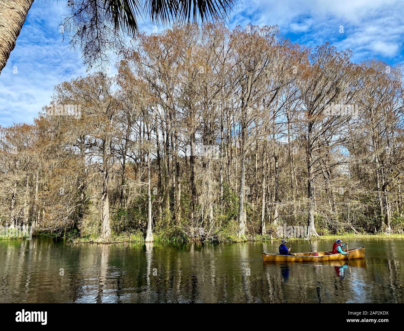 Rainbow River, Dunnellon, Florida. Foto Stock