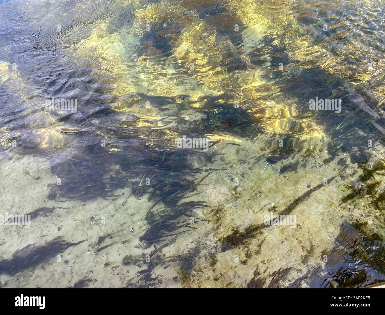 Rainbow River, Dunnellon, Florida. Foto Stock