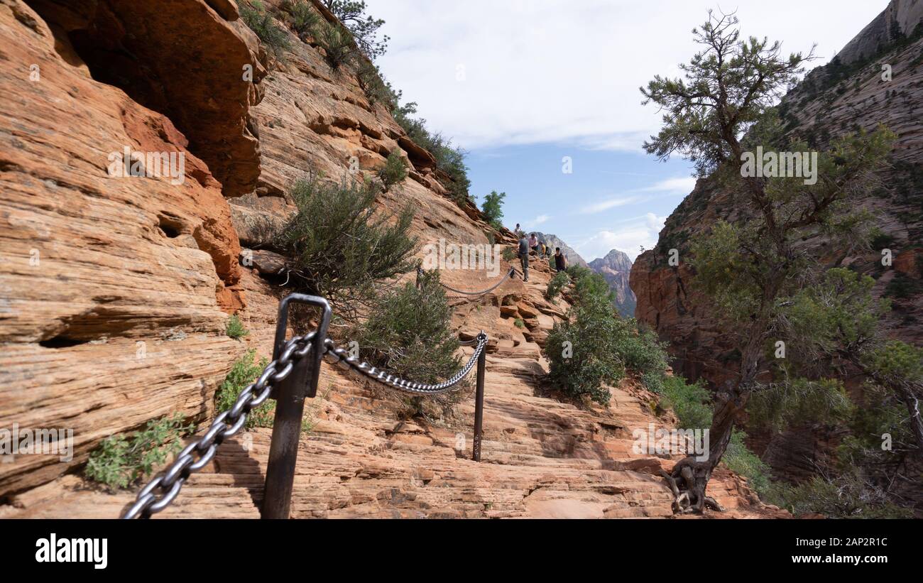 Persone che salgono le corde nel Parco Nazionale di Zion, Utah, Stati Uniti d'America Foto Stock