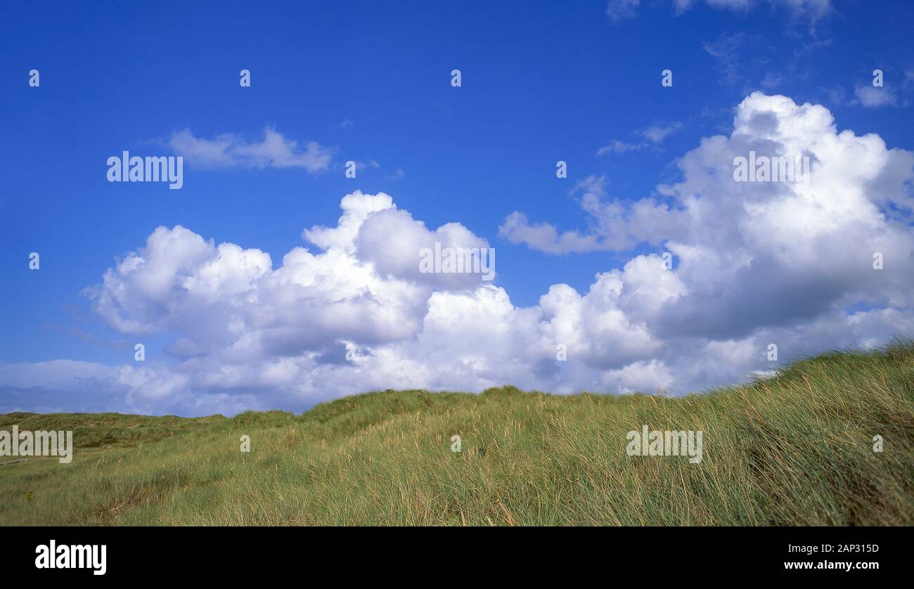 Il Cumulus bianche nuvole e cielo blu oltre le dune di sabbia, Devon, Inghilterra, Regno Unito Foto Stock