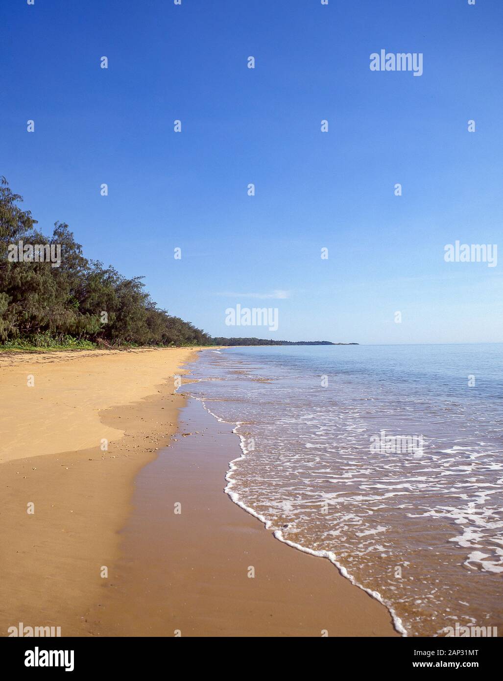 La Mission Beach, Casuario Costa, Queensland, Australia Foto Stock