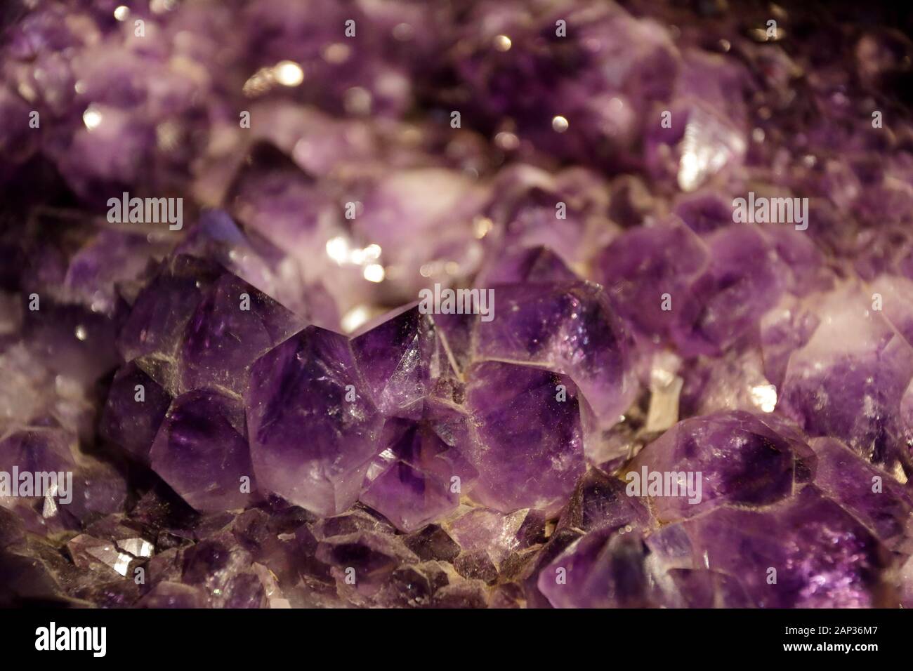 Dettagli macro di scintillanti cristalli di ametista viola catturati nell'isola di Madeira, rivelando sfaccettature minerali traslucide, profondità di colore e struttura geologica. Foto Stock