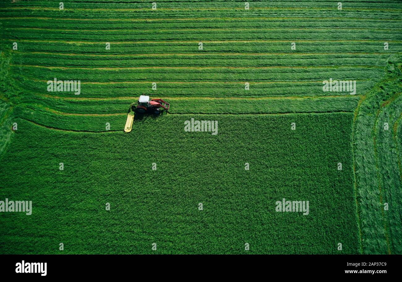 Da sopra il vecchio trattore rosso di aratura luminoso verde stuzzicare campo in bright day Foto Stock