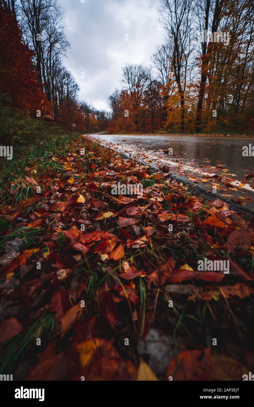 Arte della parete Foto Stock