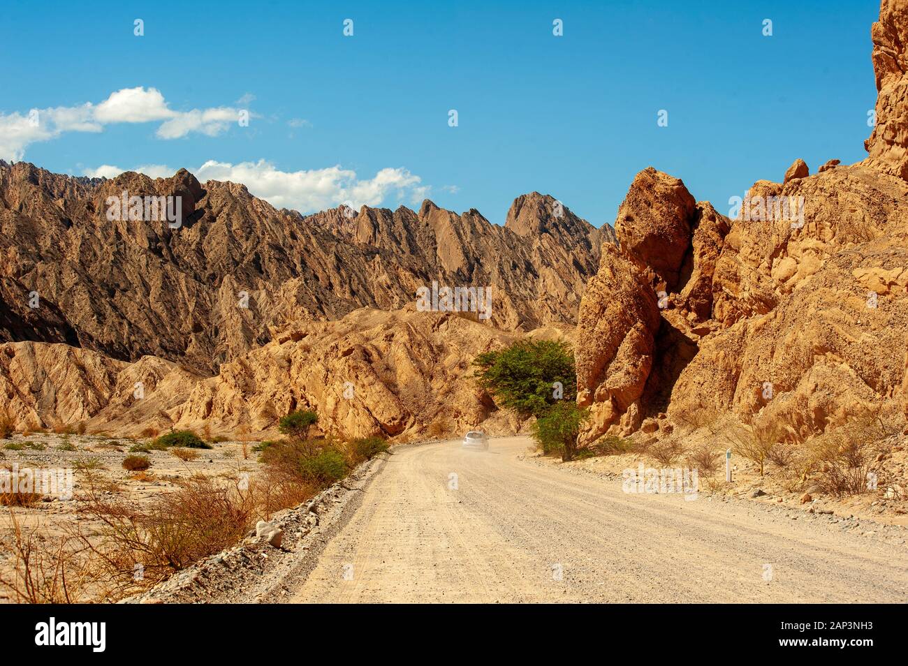 Quebrada de las Flechas sulla Ruta 40, Angastaco, Argentina Foto Stock