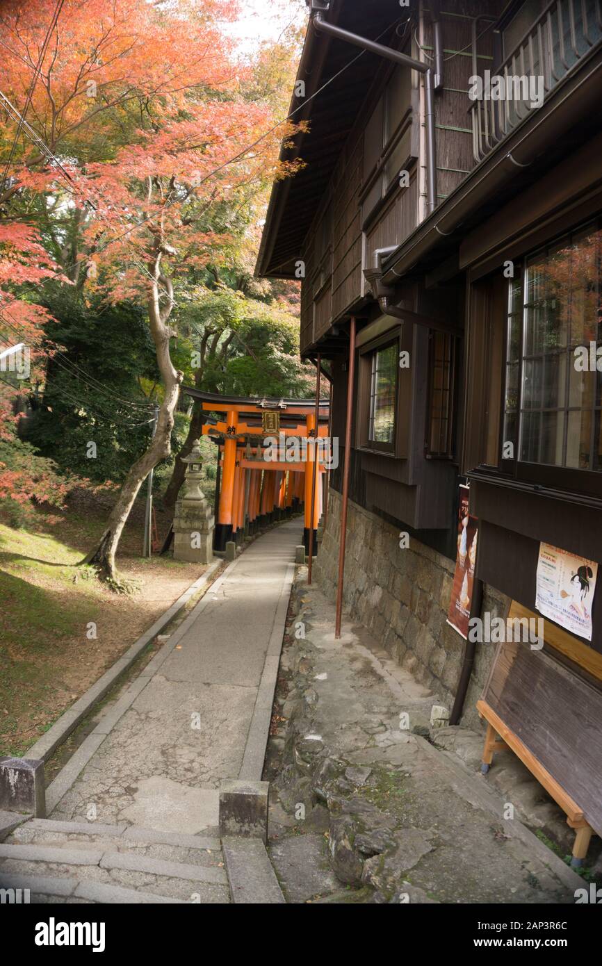 Passerella a Fushimi Inari Kyoto Japan Torii Gate in autunno Foto Stock