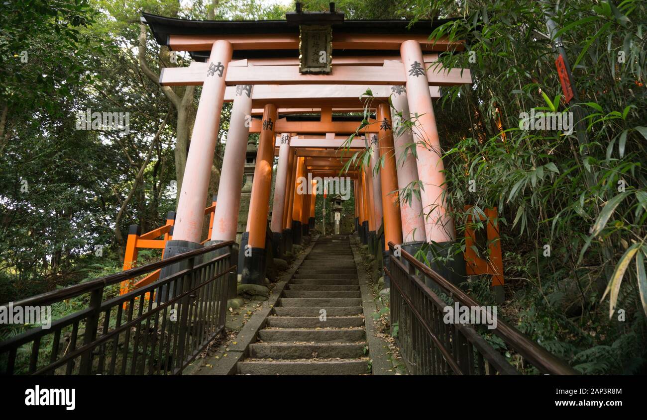 Passerella a Fushimi Inari Kyoto Japan Torii Gate in autunno Foto Stock