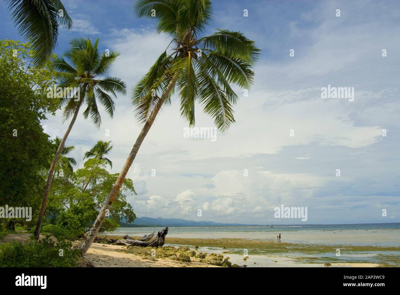Spiaggia a Lilisiana, Auki, Malaita, Isole Salomone Foto Stock