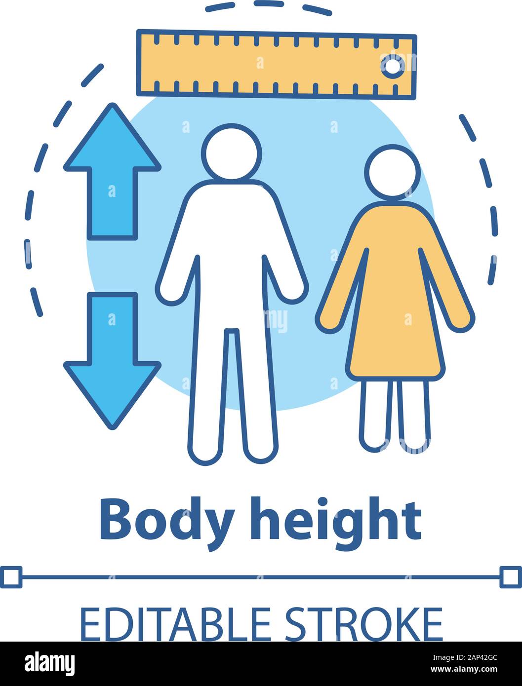 Altezza del corpo di controllare il concetto icona. Il monitoraggio della crescita del corpo con strumenti di misurazione idea sottile linea illustrazione. Il controllo di sesso maschile, femminile altezza. Vector isola Illustrazione Vettoriale