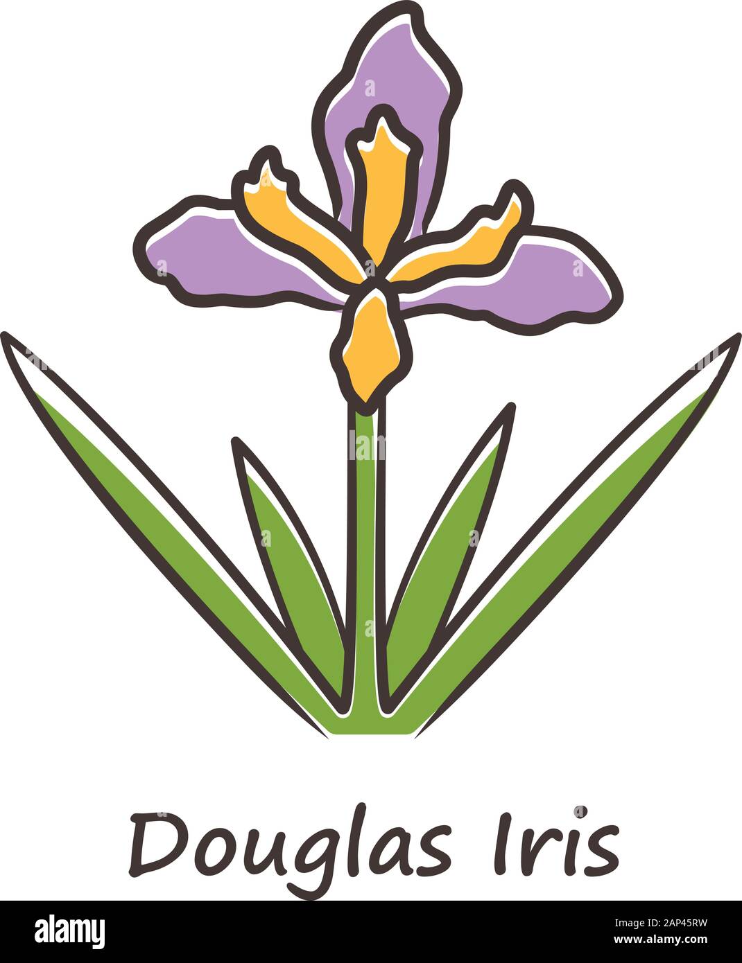 Douglas si fiori store
