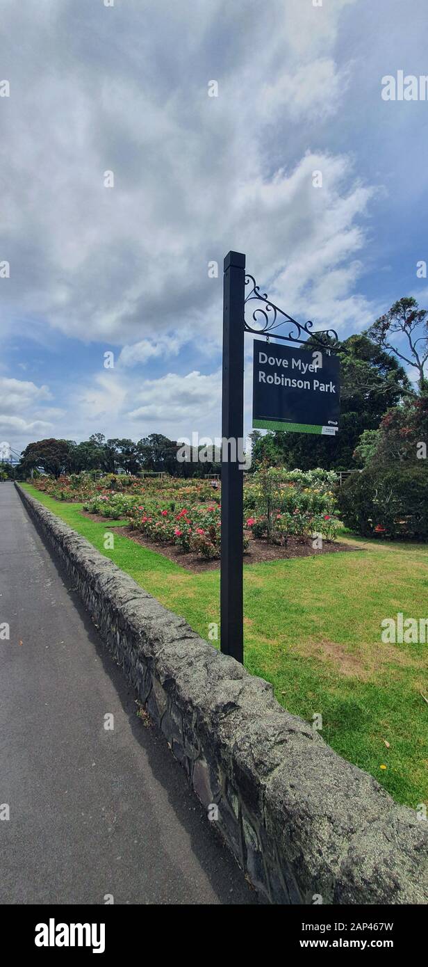 Parnell Rose Garden, Auckland / Nuova Zelanda - 14 Dicembre 2019: Il Dove Myer Robinson Park (Parnell Rose Garden) Foto Stock