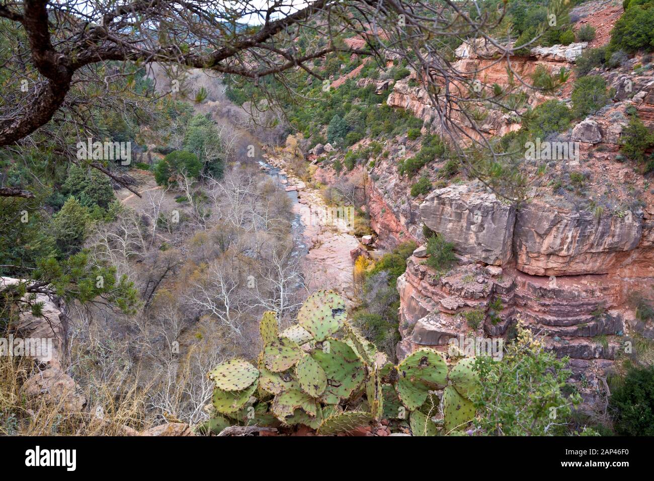 Vista di Oak Creek Canyon vicino a Sedona in Arizona, d'inverno. Foto Stock