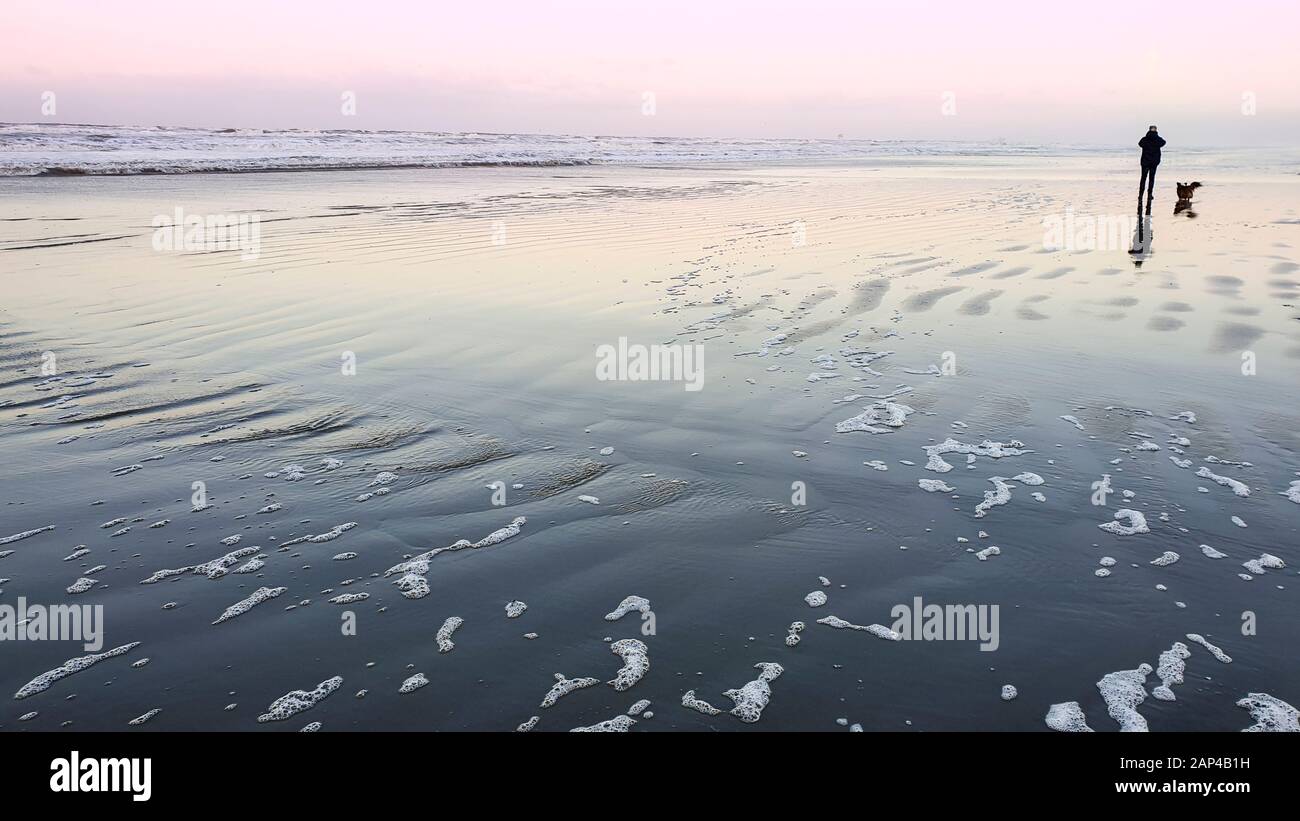 Nel tardo pomeriggio, su una fredda spiaggia invernale, un uomo e il suo cane gallese di corni stanno camminando lungo il bordo dell'acqua, Frisone Wadden Sea Island Ameland, Olanda Foto Stock