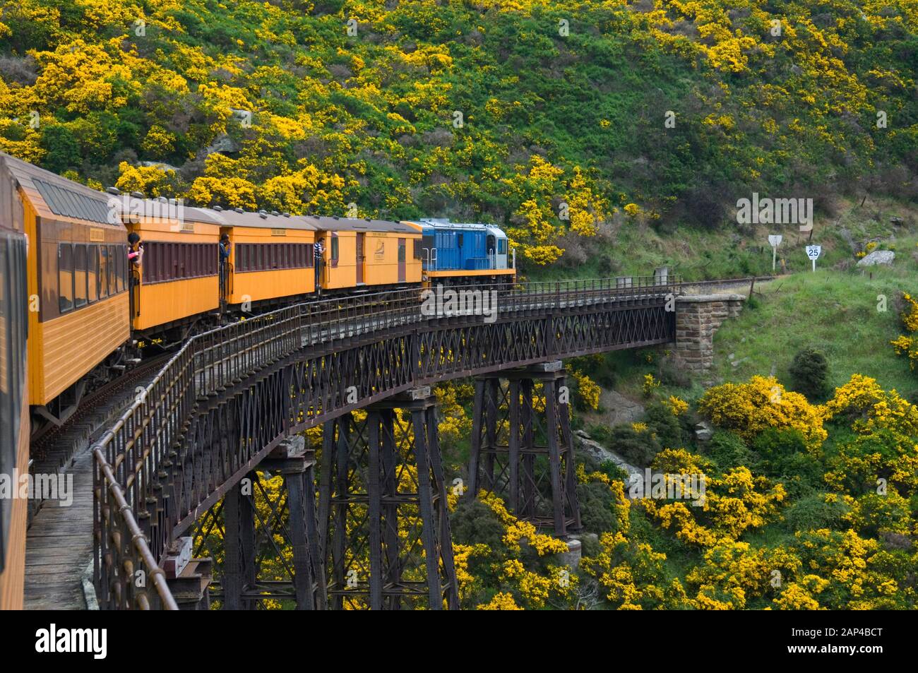 Un viadotto sulla Taieri Gorge railway di Central Otago, Nuova Zelanda Foto Stock