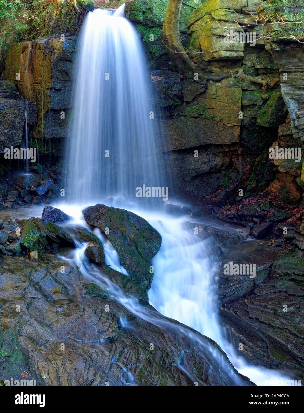 Cascate Lumsdale Falls cascata, Matlock, Derbyshire picco distretto, Inghilterra, Regno Unito Foto Stock