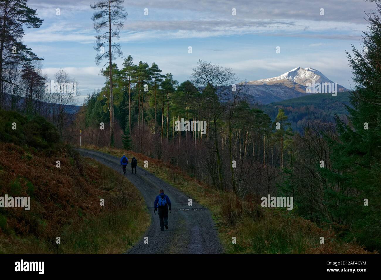 Camminatori su un sentiero forestale accanto Loch Ard, vicino Aberfolye, Scozia. Foto Stock