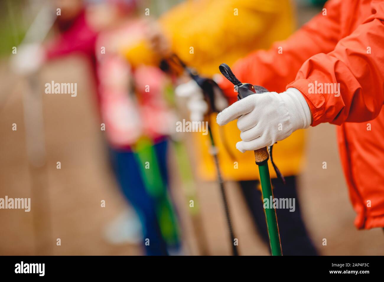 Le donne anziane vanno nordic walking con i bastoni nella foresta di conifere, concetto che è buono per il fitness Foto Stock