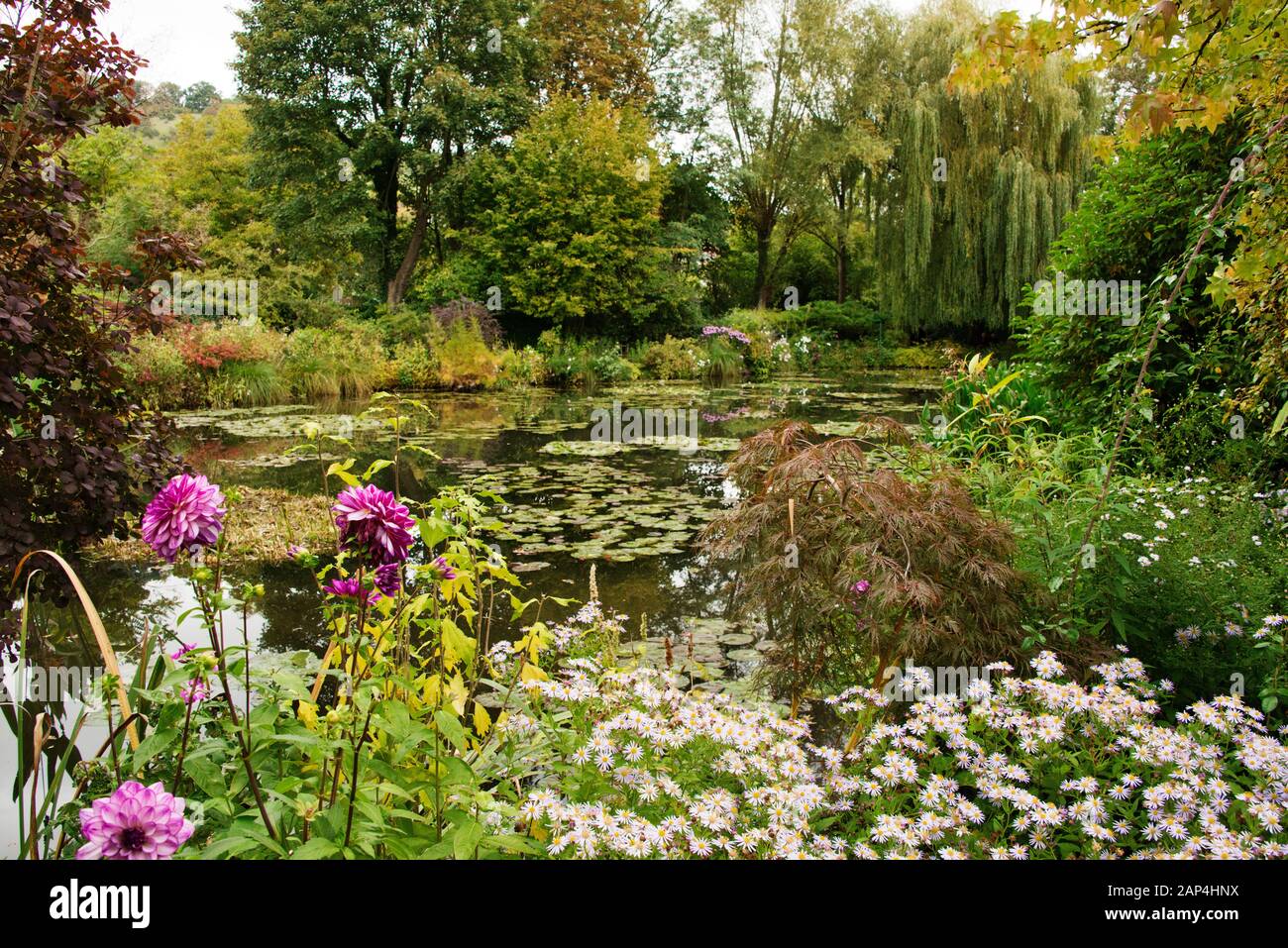 Giardino Dell'Acqua Giverny Claude Monet E Lily Pond In Autunno Foto Stock
