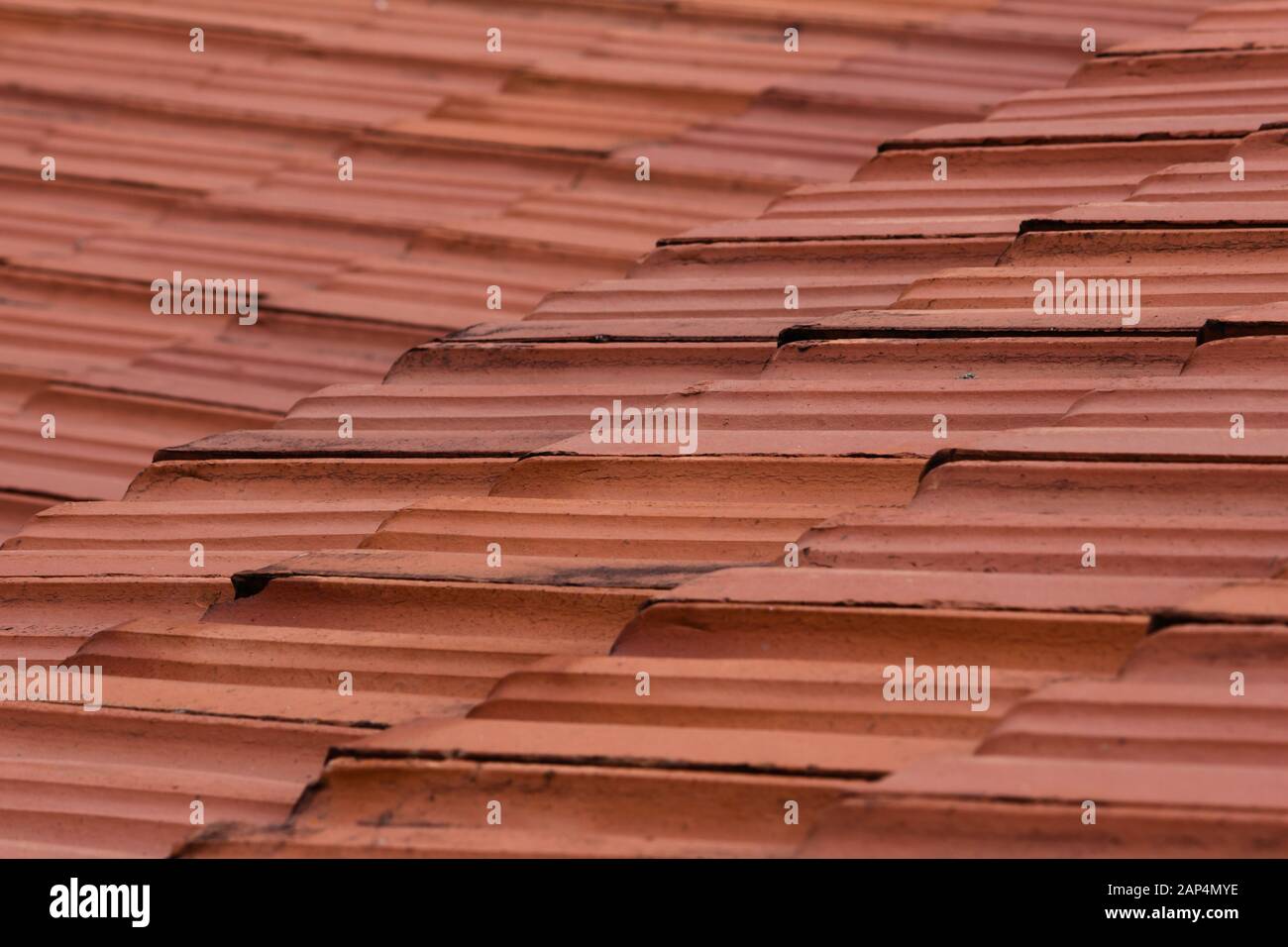 Tegole del tetto sul guest house a Masinagudi, Tamil Nadu Foto Stock