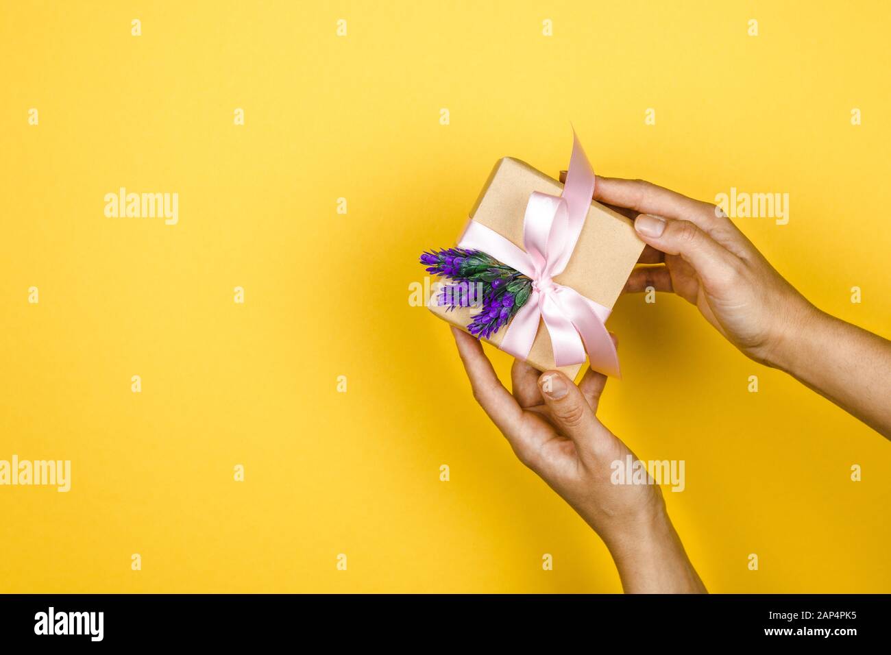primo piano mani donna tenere una scatola regalo con un ramoscello di lavanda in un gesto di dare su sfondo giallo con spazio Foto Stock