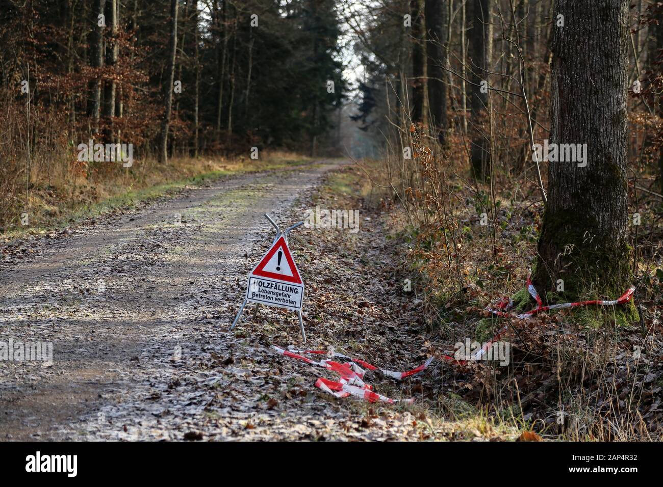 Testo in tedesco: Taglio del legno. Rischio di morte. Non Entrare. Foto Stock