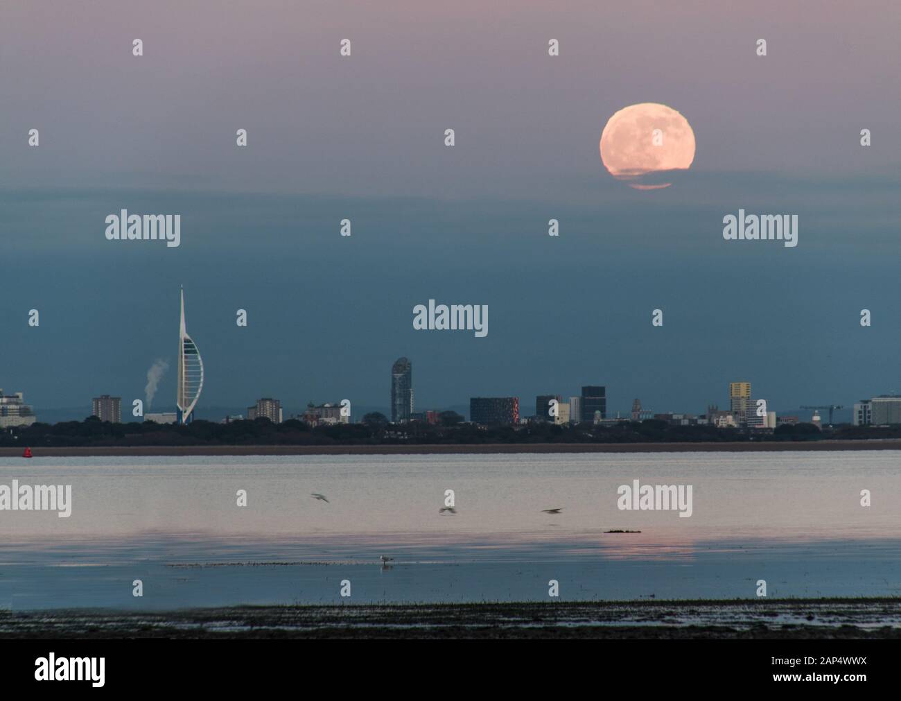 Luna Piena Di Lupo In Ascesa Foto Stock